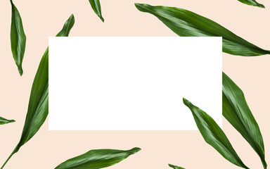 green leaves over white blank space on beige