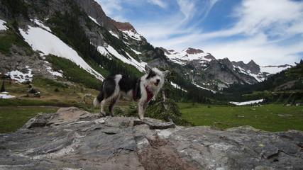 Exploring Washington, THe Great Pacific Northwest