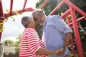 Low angle view of affectionate senior couple