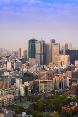 Fototapeta na wymiar Cityscape of Tokyo, city aerial skyscraper view of office building and downtown of tokyo with sunset / sun rise background. Japan, Asia, Tokyo is metropolis and center of new world's modern busniess