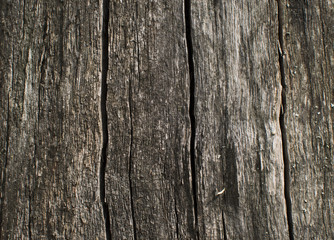 Wood texture. Surface of wood plank background. Wood background 