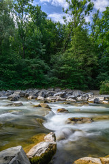Landschaft mit Wasser im Fluss und Wald