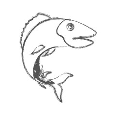 blurred sketch silhouette of trout fish vector illustration