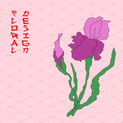 Vector iris. Hand-drawing illustration.