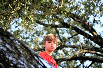 Small Boy looking down at camera with tree in background