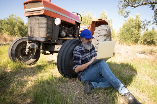 Man using laptop in olive farm