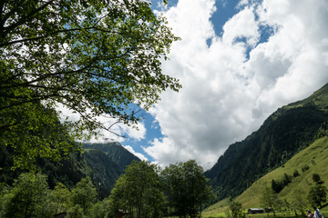 schöne wolken mit wald in europa