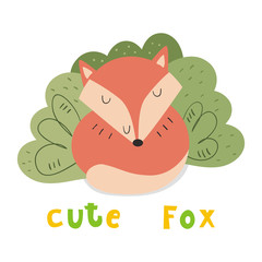 Hand drawn vector illustration with Cute vector Fox