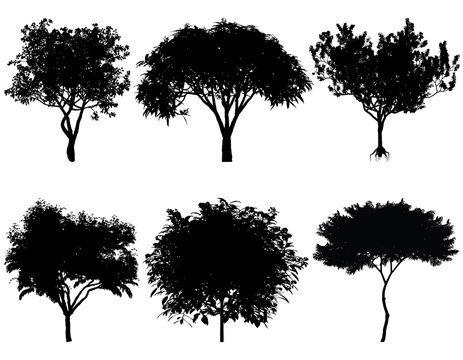 Vector illustration of tree silhouettes for architectural compositions with backgrounds
