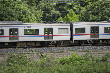 Obraz premium 山間部 電車