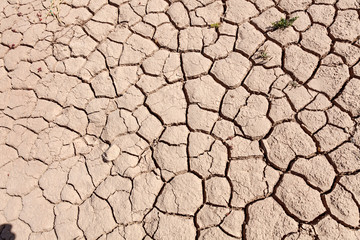 cracked earth