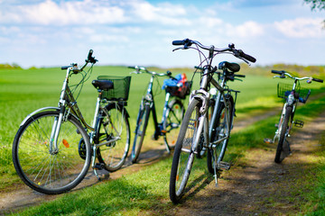 Several bicycles on a green meadow. Family came on a picnic in nature