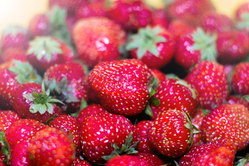 Fresh harvest of strawberries. Background of ripe fresh strawberries in full frame