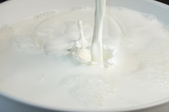 A Splash of White Milk