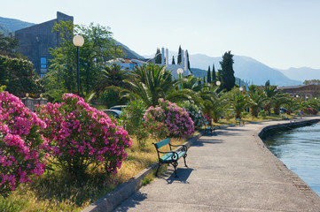 Mediterranean village (Seljanovo, Bay of Kotor, Tivat, Montenegro)