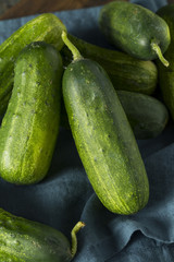 Raw Green Organic PIckle Cucumbers