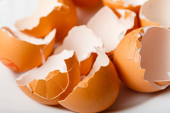 Many empty cracked eggshells