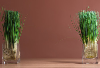 green onion in glass on  wooden table background