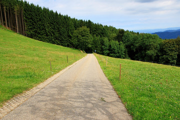 Hiking through beautiful landscape near the mountain Schauinsland in the Black Forest, Germany