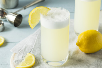 Refreshing Cold Egg Gin Fizz