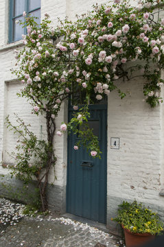 door wooden with rosebush