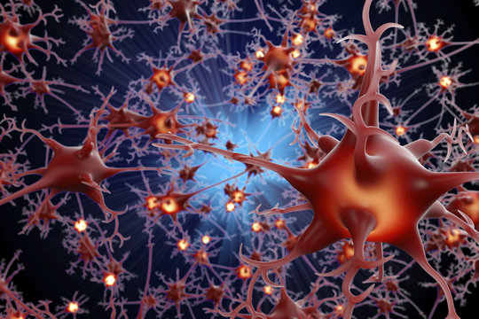 Nerve cells, illustration