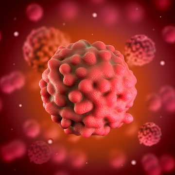 Rectal cancer cell