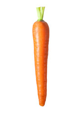 Fresh carrot isolated on the white background .