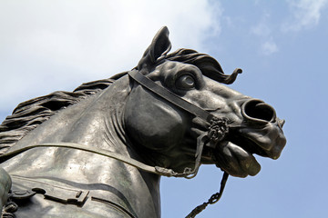 testa di cavallo; particolare della statua di Alessandro Farnese; Piacenza