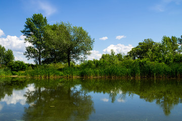 Fototapeta na wymiar Beautiful lake on summer