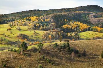 Fototapeta premium Landscape near Zlockie village. Muszyna district. Poland