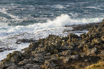 Waves ashore on a rocky coast