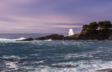 Waves ashore on a rocky coast