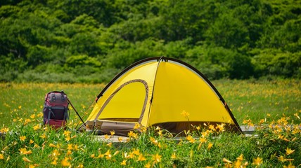 キャンプ・夏花の高原 