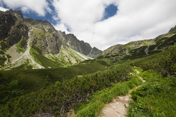 Fototapeta na wymiar Mountain trail - landscape