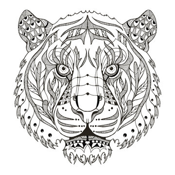 Tiger head zentangle stylized, vector, illustration, pattern, freehand pencil, hand drawn.