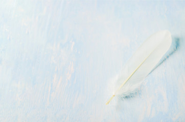 White feather on vintage blue wooden background