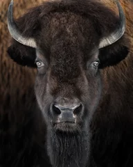 Foto op Canvas Amerikaanse bizon II © Abeselom Zerit