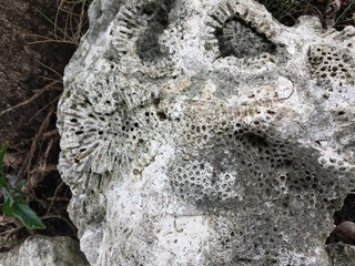Piedra