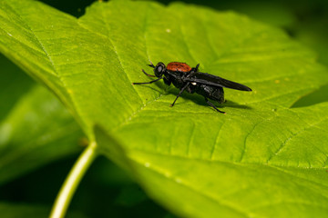Natur, Ausflug, Entdecken, Wandern, Erleben. Berge, Outdoor