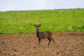 Natur, Ausflug, Entdecken, Wandern, Erleben. Berge, Outdoor