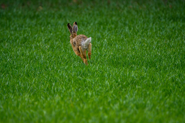 Natur, Ausflug, Entdecken, Wandern, Erleben. Berge, Outdoor