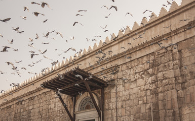Old Damascus © ali