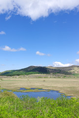 八島湿原