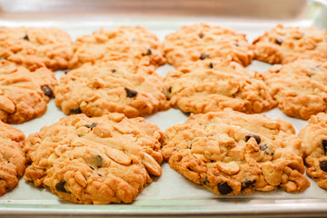 Chocolate chip cookies.