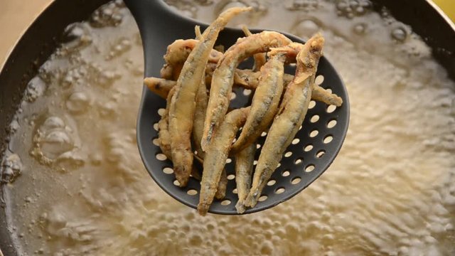 Frizzitoria Pescado s&uuml;lt 魚のフライ hal frito Friggitoria жареная Smażone fried fish
 gebakken السمك المقلي vis ryby friture рыба Pesce gebratener frittura Fisch stekt fisk fritto