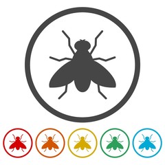 Fly icon, insect icons set - Illustration 