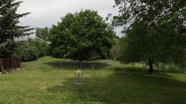 Home back yard with trees and disc golf goal.