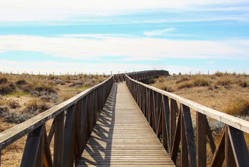 Fototapeta na wymiar wooden beach pathway