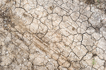 Dry Cracked Dirt Mud Road